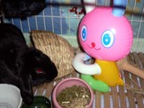 関プレ