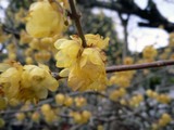 070304roubai